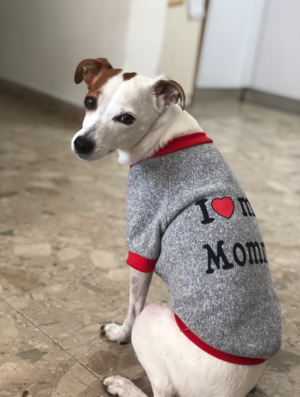 i love mommy1
